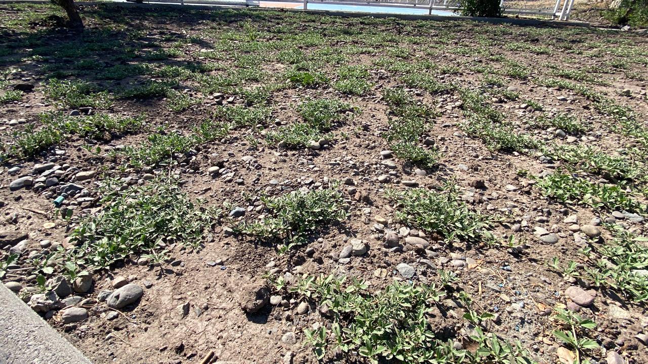 Proyecto Tiqui Tiqui 02 - instalación